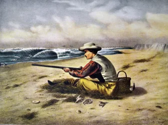 Currier & Ives Illustration 19. Jahrhundert. Strand-Schnepfenjagd